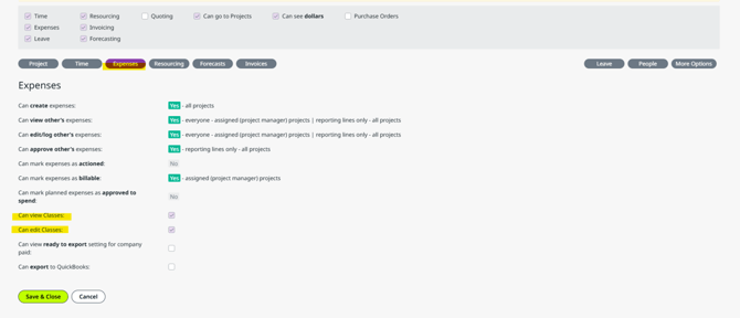 The Access Levels settings showing the Expenses tab highlighting how you can let people view classes or edit classses