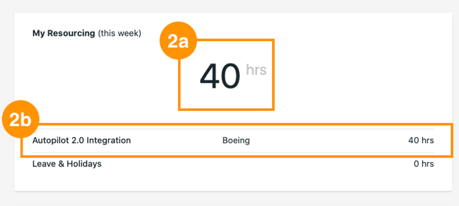 My Resourcing with total hours and hours by project highlighted
