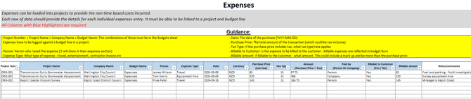 expenses tab