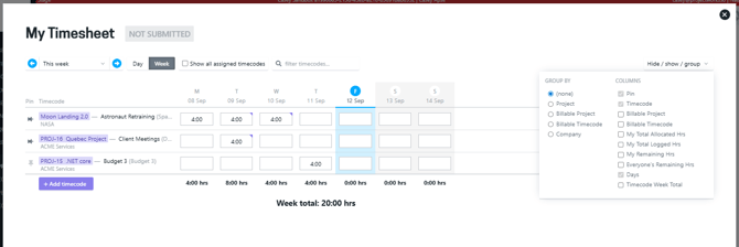 customising your timesheet