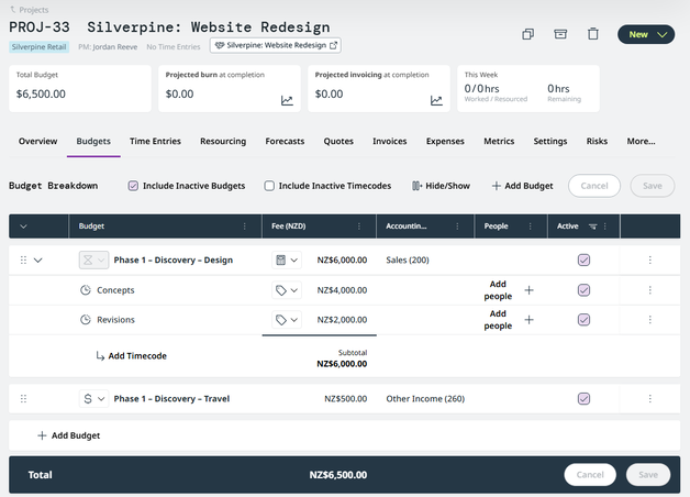 p2-14-NEW-project-budgets-tab-group-subgroup-line-20261015-022638